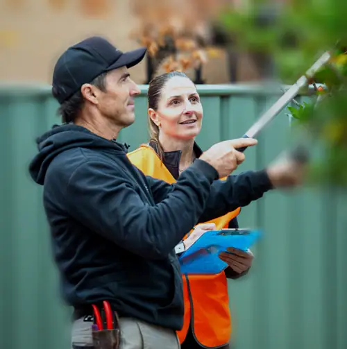Outdoor garden maintenance and inspection by professionals. Ensuring healthy plants and landscape ca.